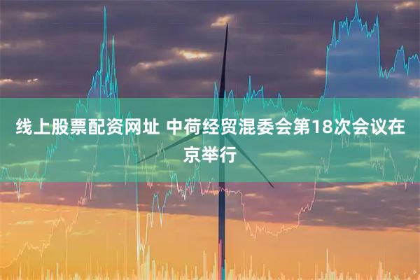 线上股票配资网址 中荷经贸混委会第18次会议在京举行